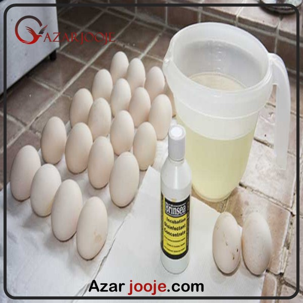 تاثیر شستن تخم غاز و اردک