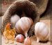 مزایای استفاده از سیر در تغذیه طیور