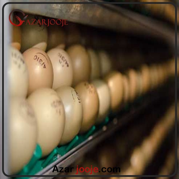 Storing eggs before hatching