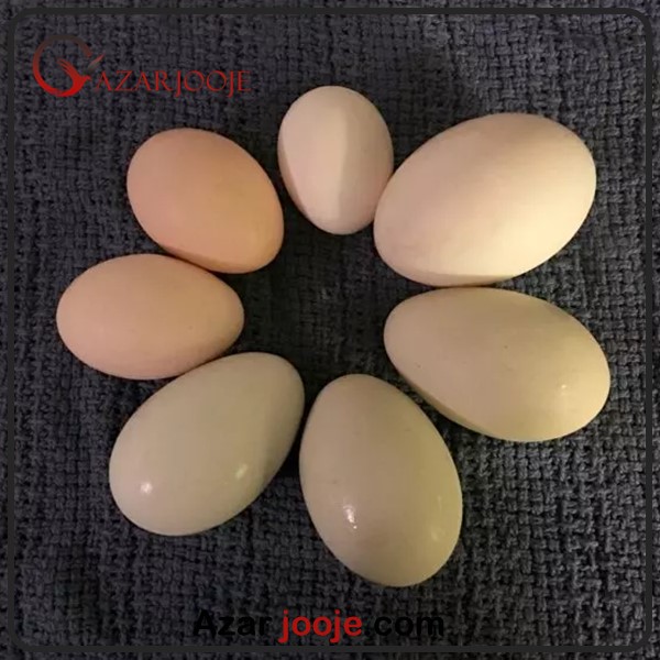آیا سایز تخم نفطه دار در زمان هچ تاثیر دارد؟