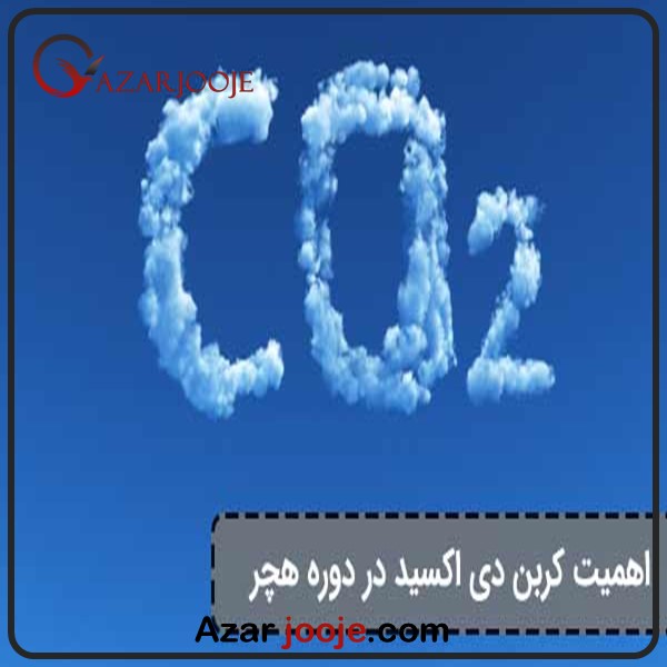 اهمیت کربن دی اکسید در دوره هچ تخم نطفه دار