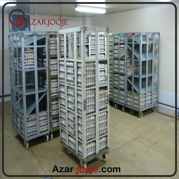 حمل ونقل جوجه و تخم نطفه دار