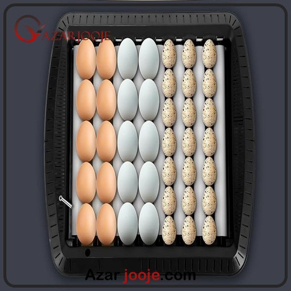 جوجه کشی چند نژاد تخم نطفه دار در یک دستگاه