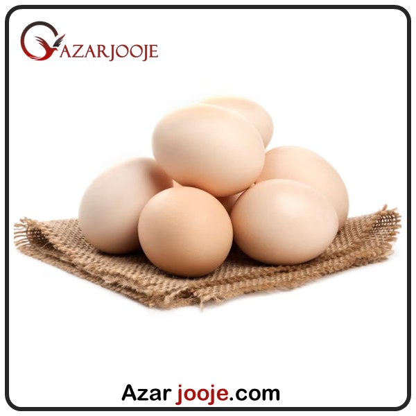 تخم نطفه دار مرغ گوشتی با کیفیت