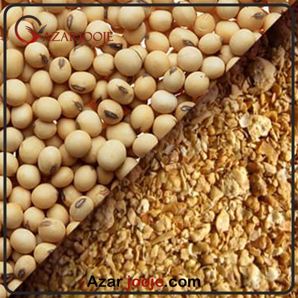 جایگزین پروتئین در تغذیه طیور