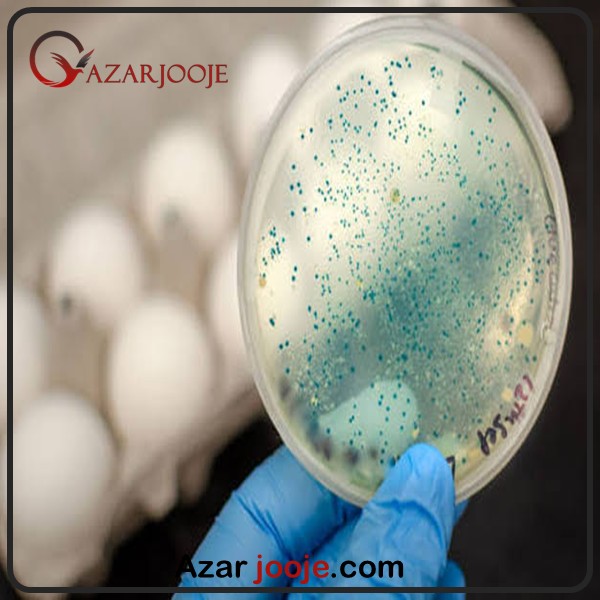 نقش باکتری در تخم نطفه دار