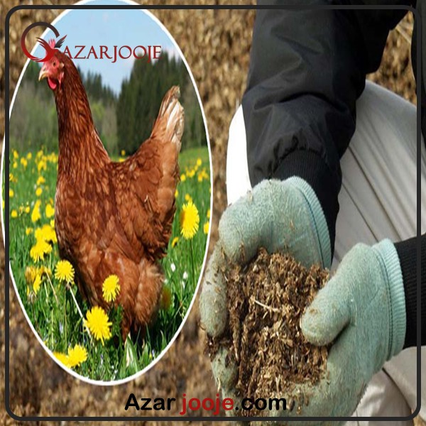کود مرغی در کشاورزی