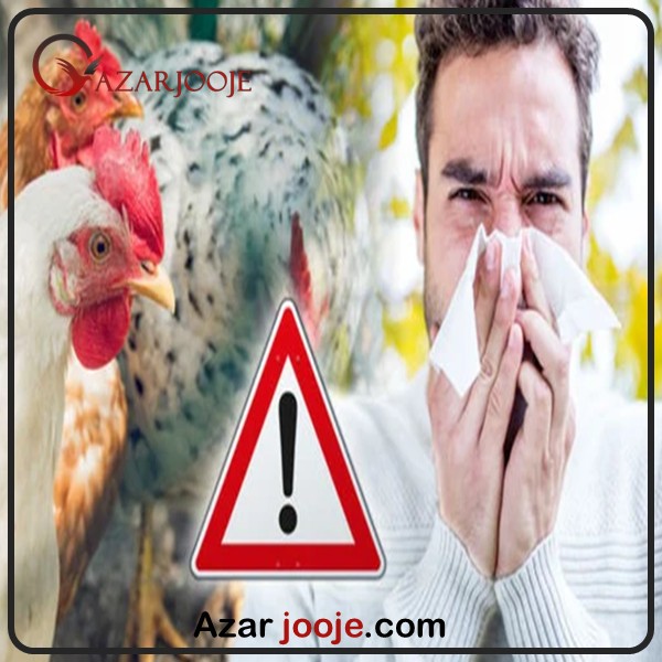 بیماری های مشترک انسان ها با پرندگان