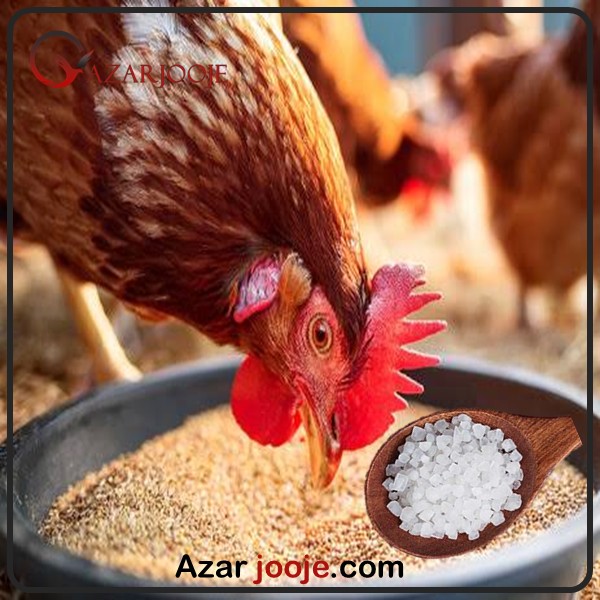 تاثیر ید در جیره غذایی پرندگان