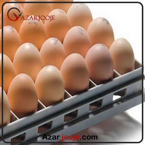 تهیه و خرید تخم نطفه دار