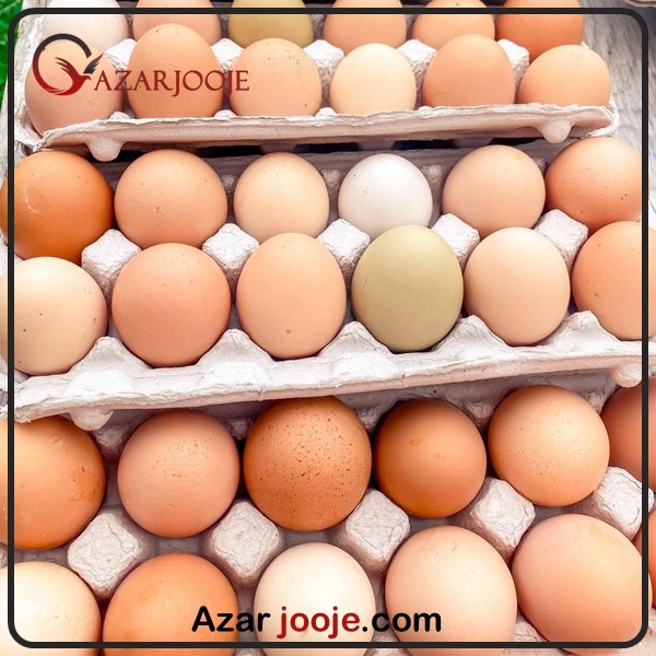 خرید و تهیه تخم نطفه دار