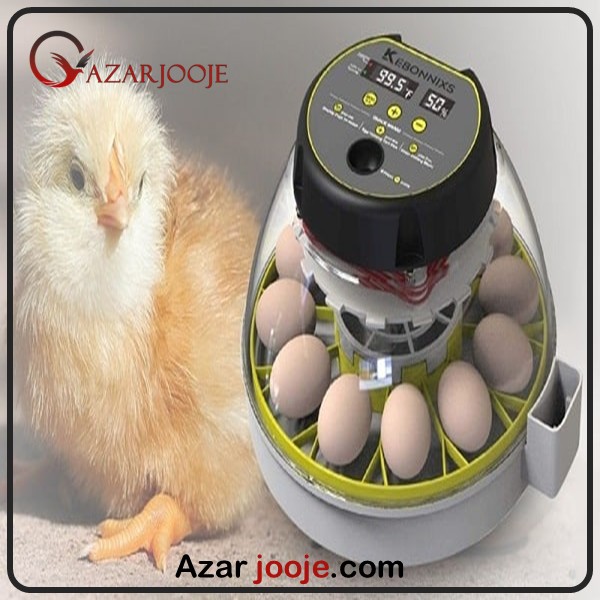 دستگاه جوجه کشی و نقش آن در پرورش طیور