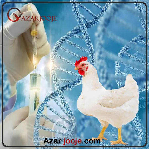 نقش ژنتیک در ثبات تولید و عملکرد نسل بعدی
