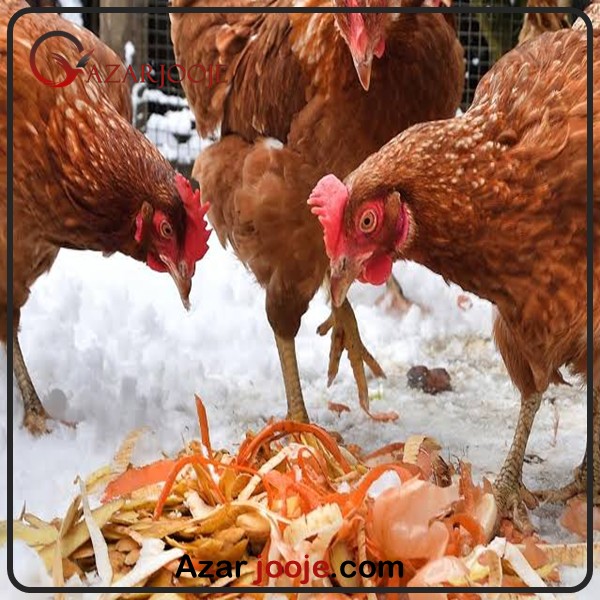 تاثیر مواد غذای بر روی پرندگان