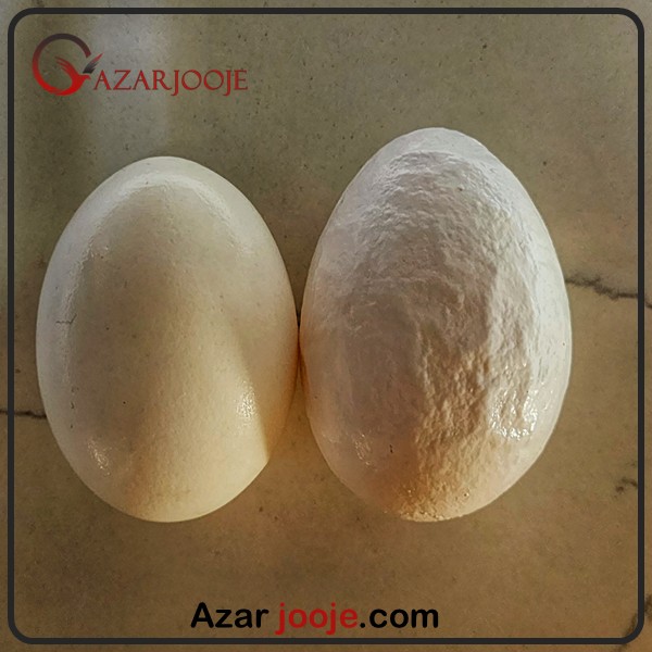 تخم گذاری ناقص در پرندگان