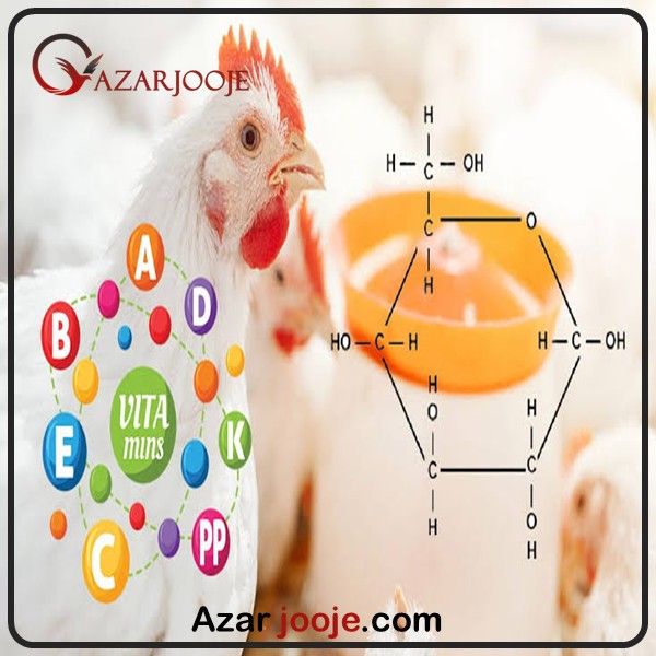 ویتامین های مورد نیاز برای پرندگان