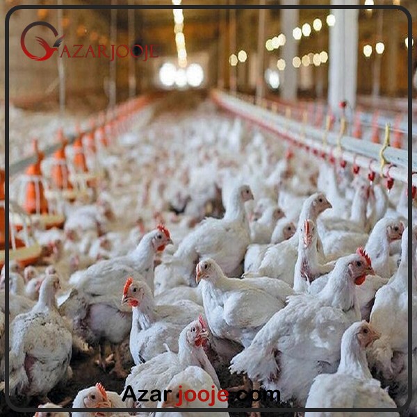 مدیریت بحران در سالن های پرورش