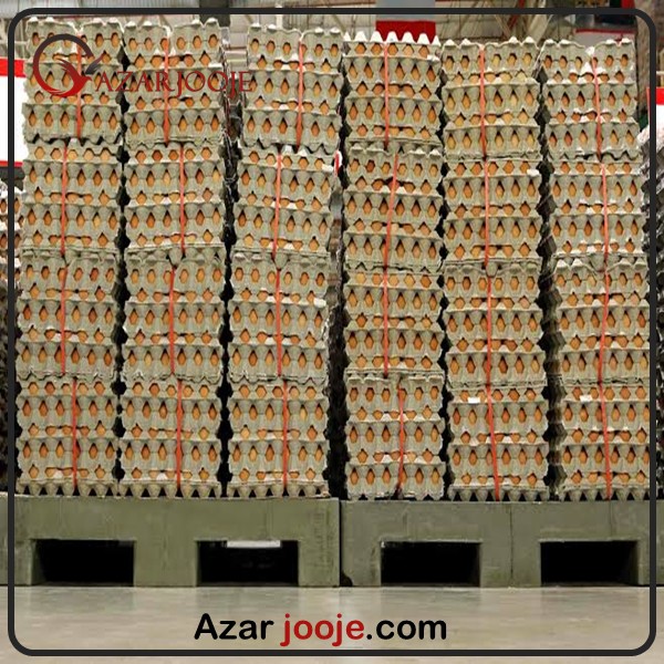 ارسال تخم مرغ صادراتی