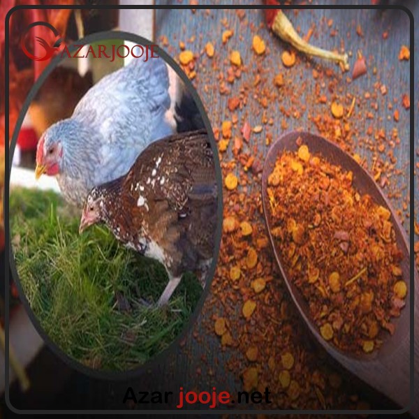 استفاده از فلفل در تغذیه طیور