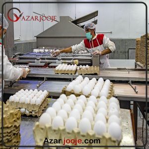 بسته بندی تخم مرغ خوراکی صادراتی