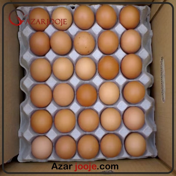 بسته بندی تخم نطفه دار مرغ صادراتی