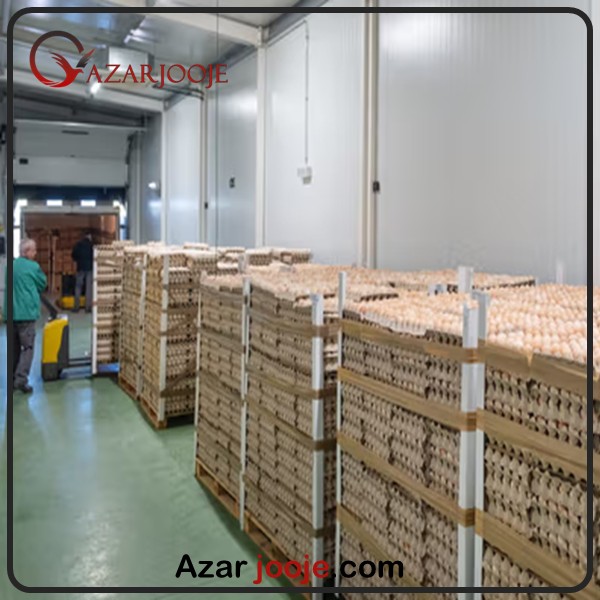صادرات تخم نطفه دار مرغ گوشتی