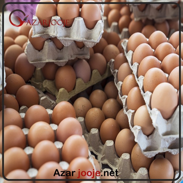 از کجا تخم بارور بخریم ؟